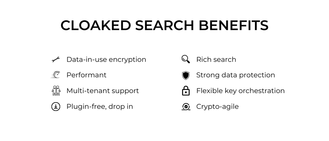 Cloaked Search for Blog 3