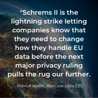 Privacy Shield Blog Quote (1)