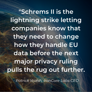 Privacy Shield Blog Quote (3)