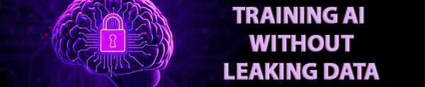 ai-model-encryption-blog-newsletter