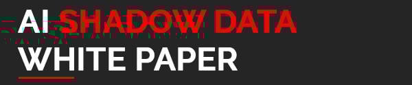 ai-shadow-data-paper-newsletter