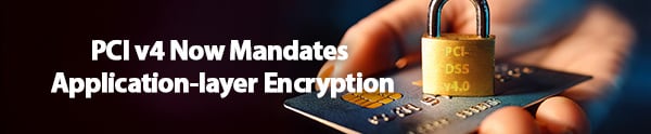 pci-v4-blog-newsletter